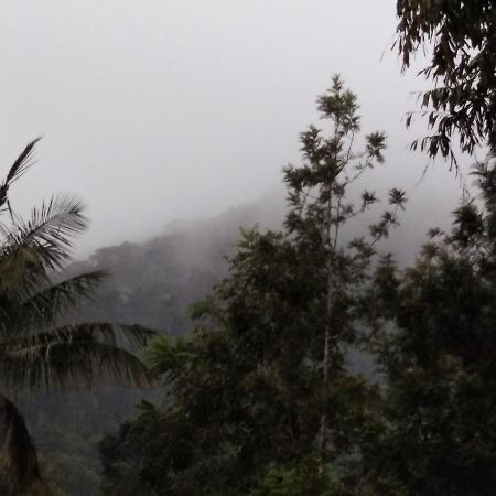 Bandekallu Homestay Chikmagalur Exterior photo